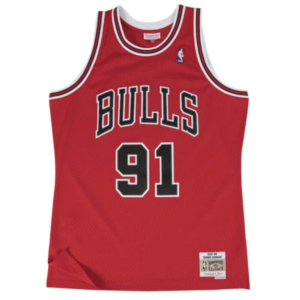 Dennis Rodman Jersey